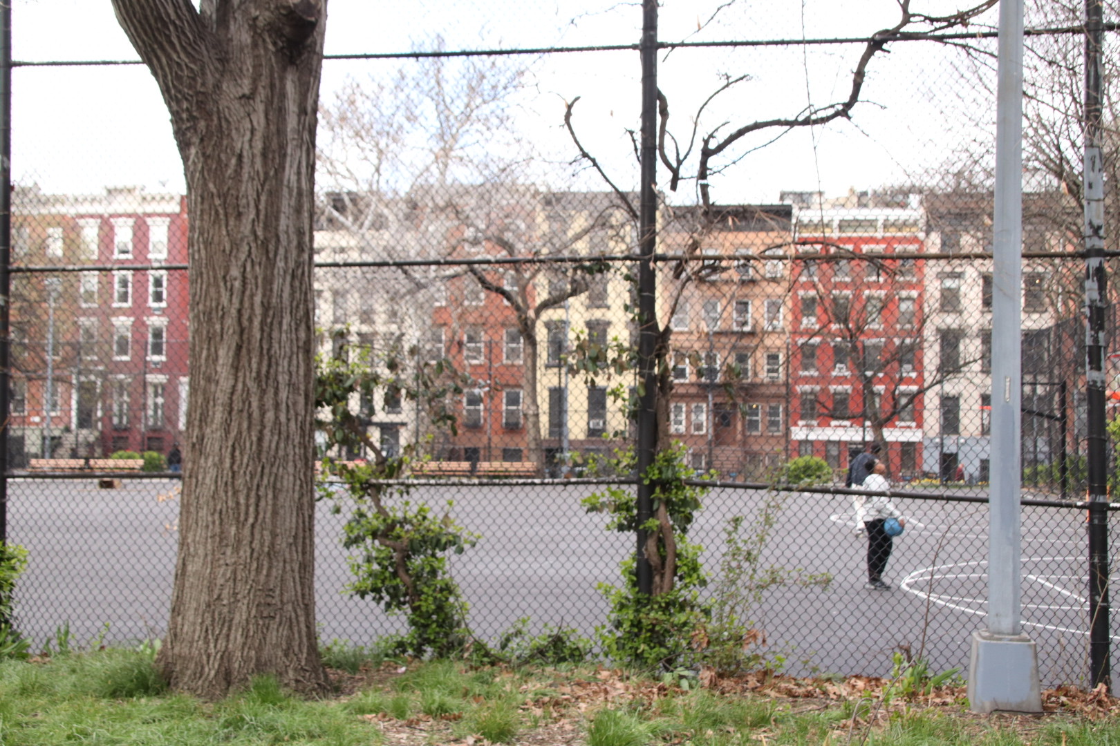 tompkins